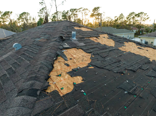 Best Storm Damage Roof Repair  in Lafayette, CO