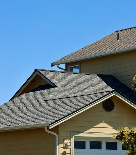 Best Roof Moss and Algae Removal  in Lafayette, CO